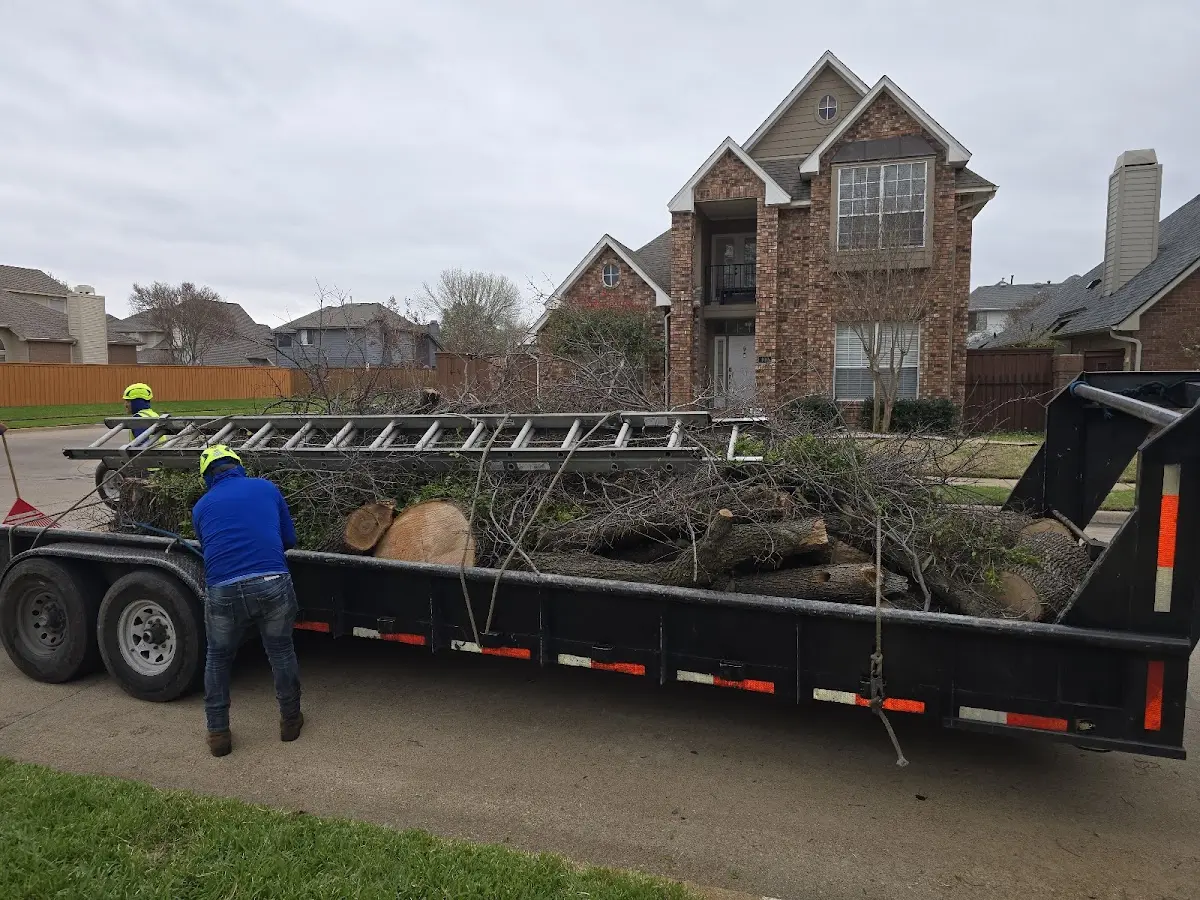 Expert Tree Fertilization with proper safety equipment in Vowinckel